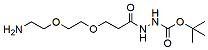 Molecular structure of the compound: Amino-PEG2-t-Boc-hydrazide