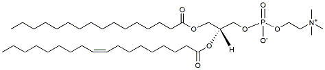 Molecular structure of the compound: POPC