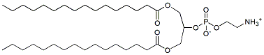 Molecular structure of the compound: 1,3-DPPE