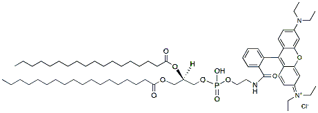 Molecular structure of the compound: DSPE-Rhodamine B