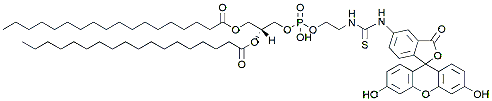 Molecular structure of the compound: DSPE-Fluorescein
