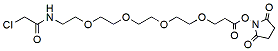 Molecular structure of the compound: Chloroacetamido-PEG4-NHS ester