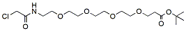 Molecular structure of the compound: Chloroacetamido-PEG4-t-Butyl Ester