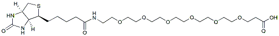 Molecular structure of the compound: Biotin-PEG6-acid