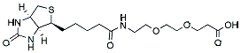 Molecular structure of the compound: Biotin-PEG2-acid