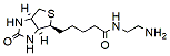 Molecular structure of the compound: Biotin-EDA