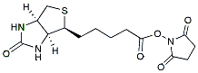 Molecular structure of the compound: Biotin-NHS ester