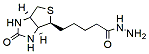 Molecular structure of the compound: Biotin hydrazide