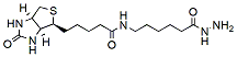 Molecular structure of the compound: Biotin-LC-Hydrazide