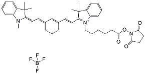 Molecular structure of the compound: Cy7 NHS ester