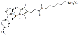 Molecular structure of the compound BP-23863