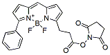 Molecular structure of the compound BP-23897