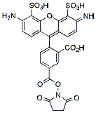 Molecular structure of the compound: BP Fluor 488 NHS ester